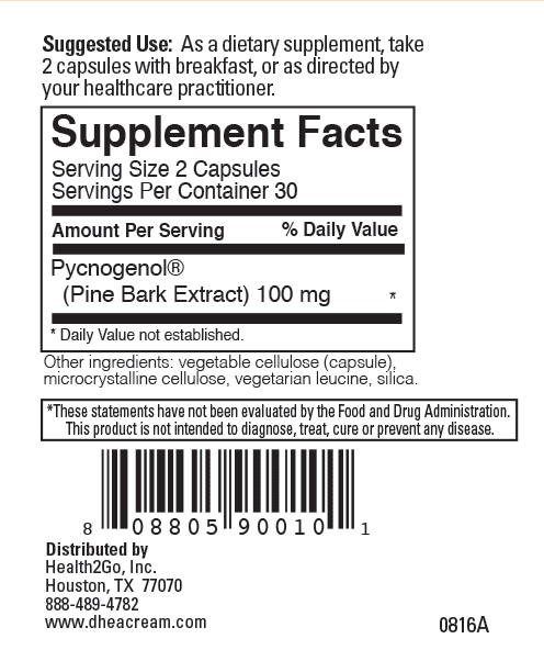 Pycnogenol® 50 mg Capsules (Pine Bark Extract) - Image 3